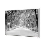 Central Park Dawn in Snow (stock)