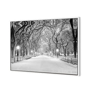 Central Park Dawn in Snow (stock)
