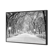 Central Park Dawn in Snow (shelved)