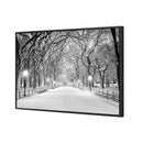 Central Park Dawn in Snow (shelved)