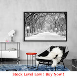 Central Park Dawn in Snow (shelved)