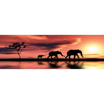 Family of Elephants at Sunset