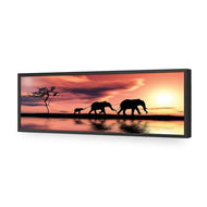 Family of Elephants at Sunset