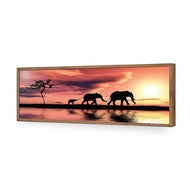 Family of Elephants at Sunset