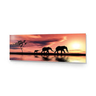 Family of Elephants at Sunset