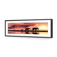 Family of Elephants at Sunset