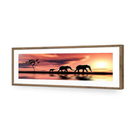Family of Elephants at Sunset