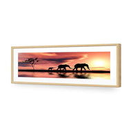 Family of Elephants at Sunset