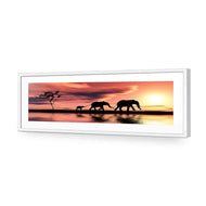 Family of Elephants at Sunset