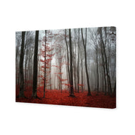 Scarlet Forest