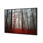 Scarlet Forest