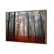 Scarlet Forest