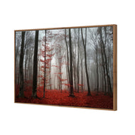 Scarlet Forest