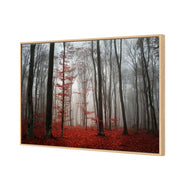 Scarlet Forest