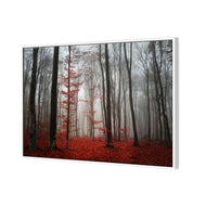 Scarlet Forest