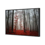Scarlet Forest