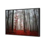 Scarlet Forest