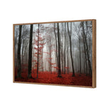 Scarlet Forest