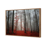 Scarlet Forest