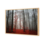 Scarlet Forest
