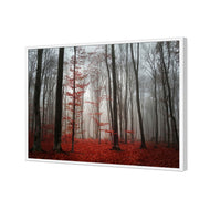 Scarlet Forest