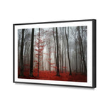 Scarlet Forest