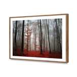 Scarlet Forest