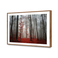 Scarlet Forest