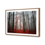 Scarlet Forest