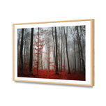 Scarlet Forest