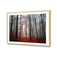 Scarlet Forest