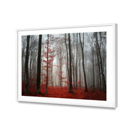 Scarlet Forest