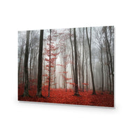 Scarlet Forest