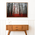 Scarlet Forest