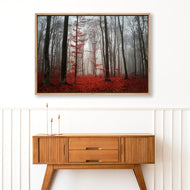 Scarlet Forest