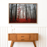 Scarlet Forest