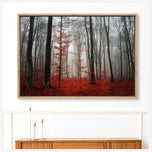 Scarlet Forest
