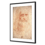 Renaissance Man By Leonardo Da Vinci