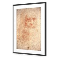 Renaissance Man By Leonardo Da Vinci