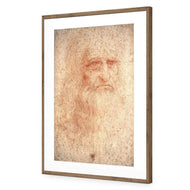Renaissance Man By Leonardo Da Vinci