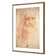 Renaissance Man By Leonardo Da Vinci