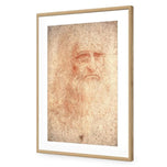 Renaissance Man By Leonardo Da Vinci