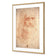 Renaissance Man By Leonardo Da Vinci