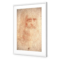 Renaissance Man By Leonardo Da Vinci