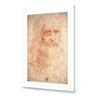 Renaissance Man By Leonardo Da Vinci