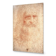 Renaissance Man By Leonardo Da Vinci