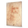 Renaissance Man By Leonardo Da Vinci