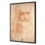 Renaissance Man By Leonardo Da Vinci