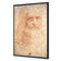 Renaissance Man By Leonardo Da Vinci