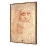 Renaissance Man By Leonardo Da Vinci